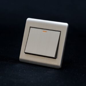 Q1 1 Gang Switch – Silver