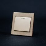 C6 1 Gang Switch – Gold