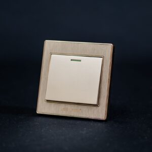 C6 1 Gang Switch – Gold